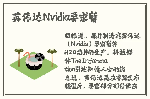 网站你懂我意思吧2019免费